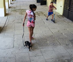 Havannai gazdi és kutyusa 2